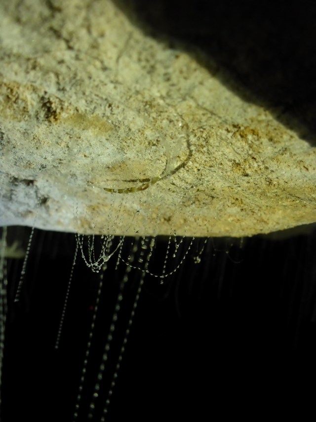 31March @1.30pm LW Gareth 036