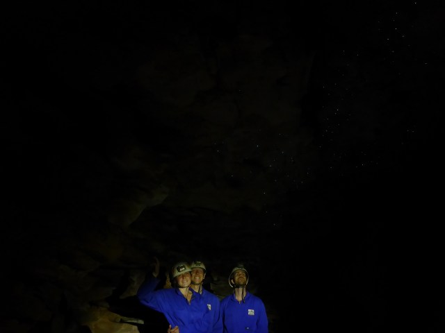 31March @1.30pm LW Gareth 037